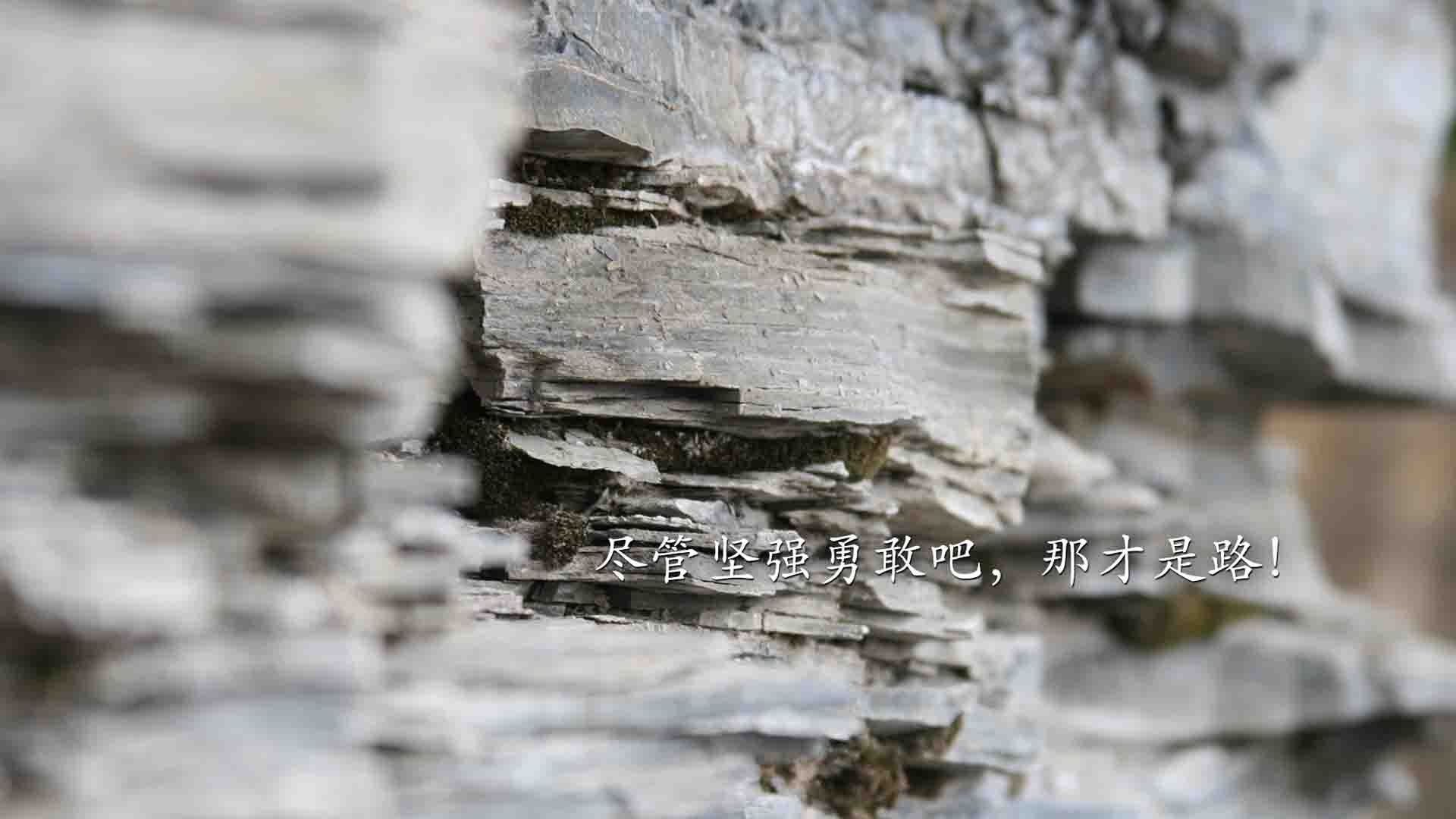 【VAR辅助判决】科技下的最强裁判组合，公平哪家强？，var裁判指的是