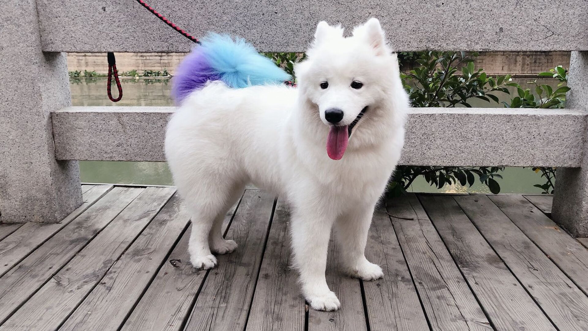 今年赛季最大的悬念是什么？，最近几个赛季