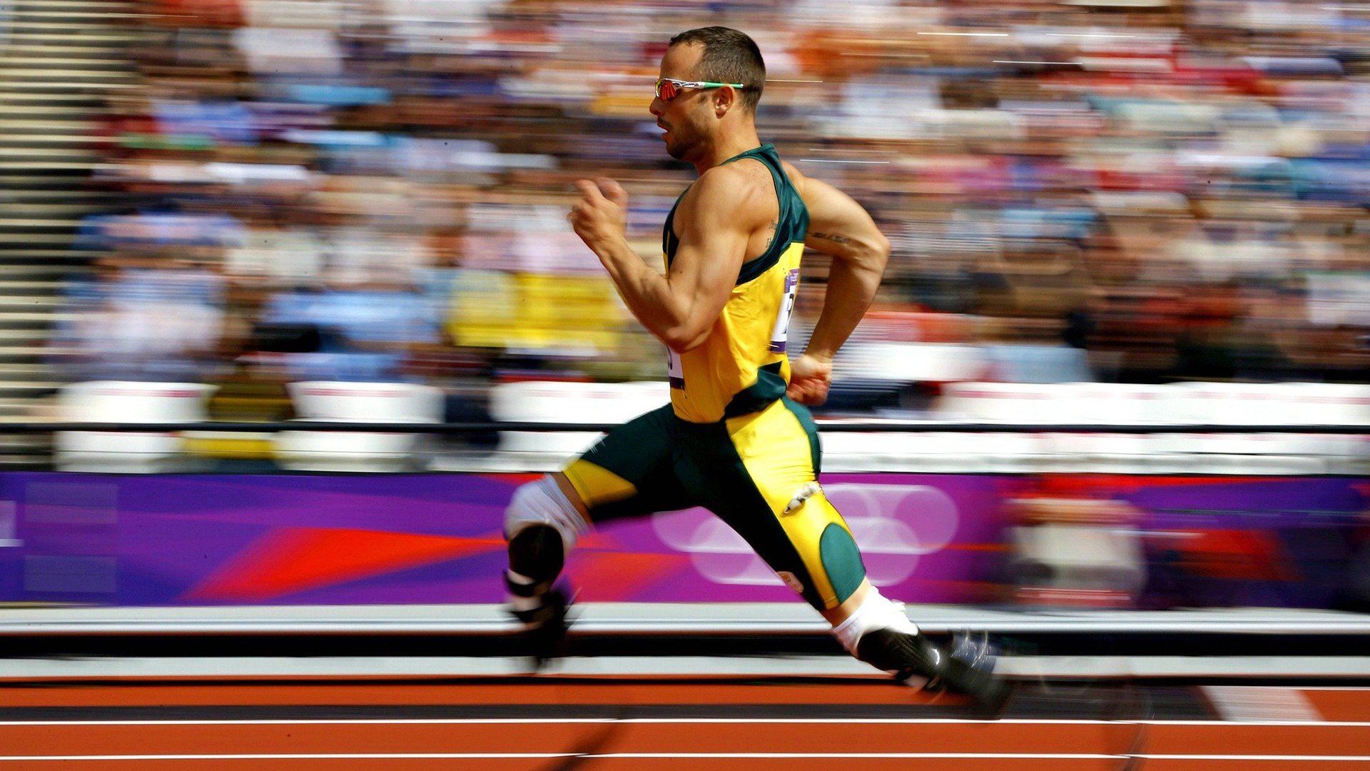 蝶泳冲刺朝鲜新秀展现速度，最新蝶泳视频