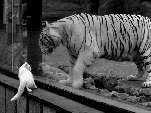 Kaiyun官方登录入口-_快船队整体发挥稳定，赢得关键比赛_，快船队怎么样